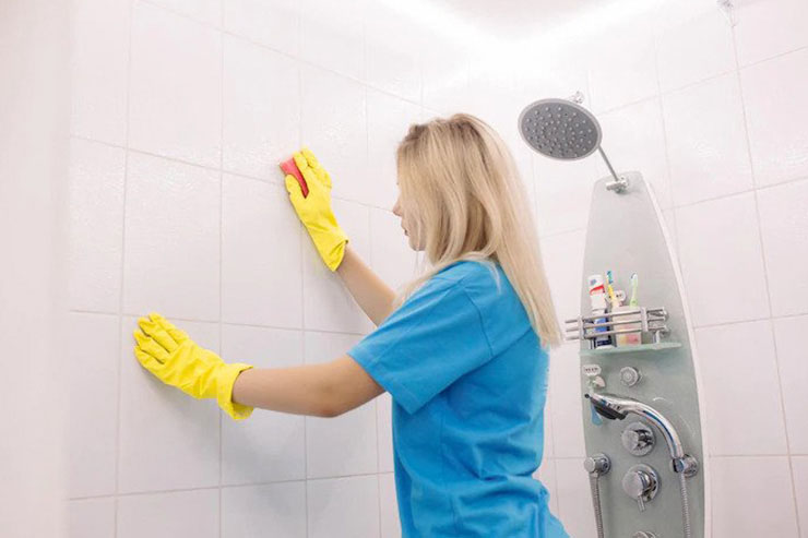 Bathroom Cleaning