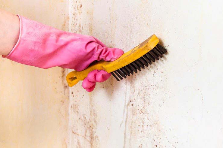 Deep Cleaning